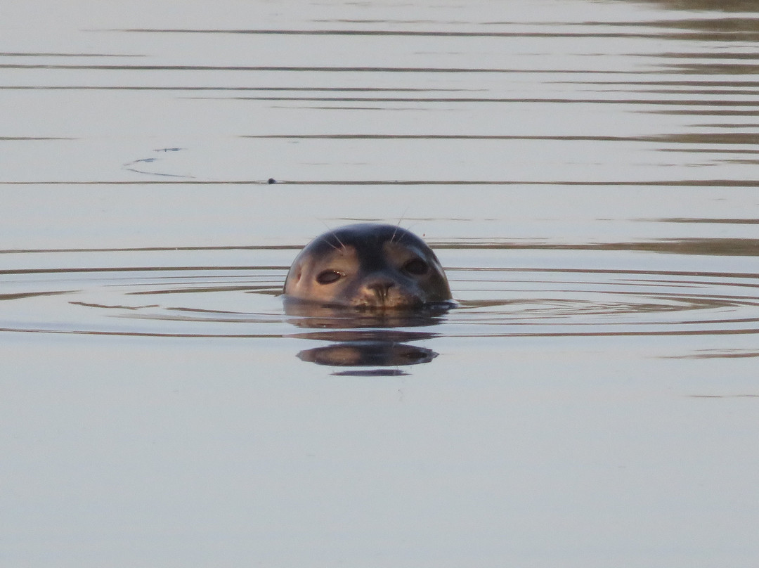 Westview Marina-Earith必去景点