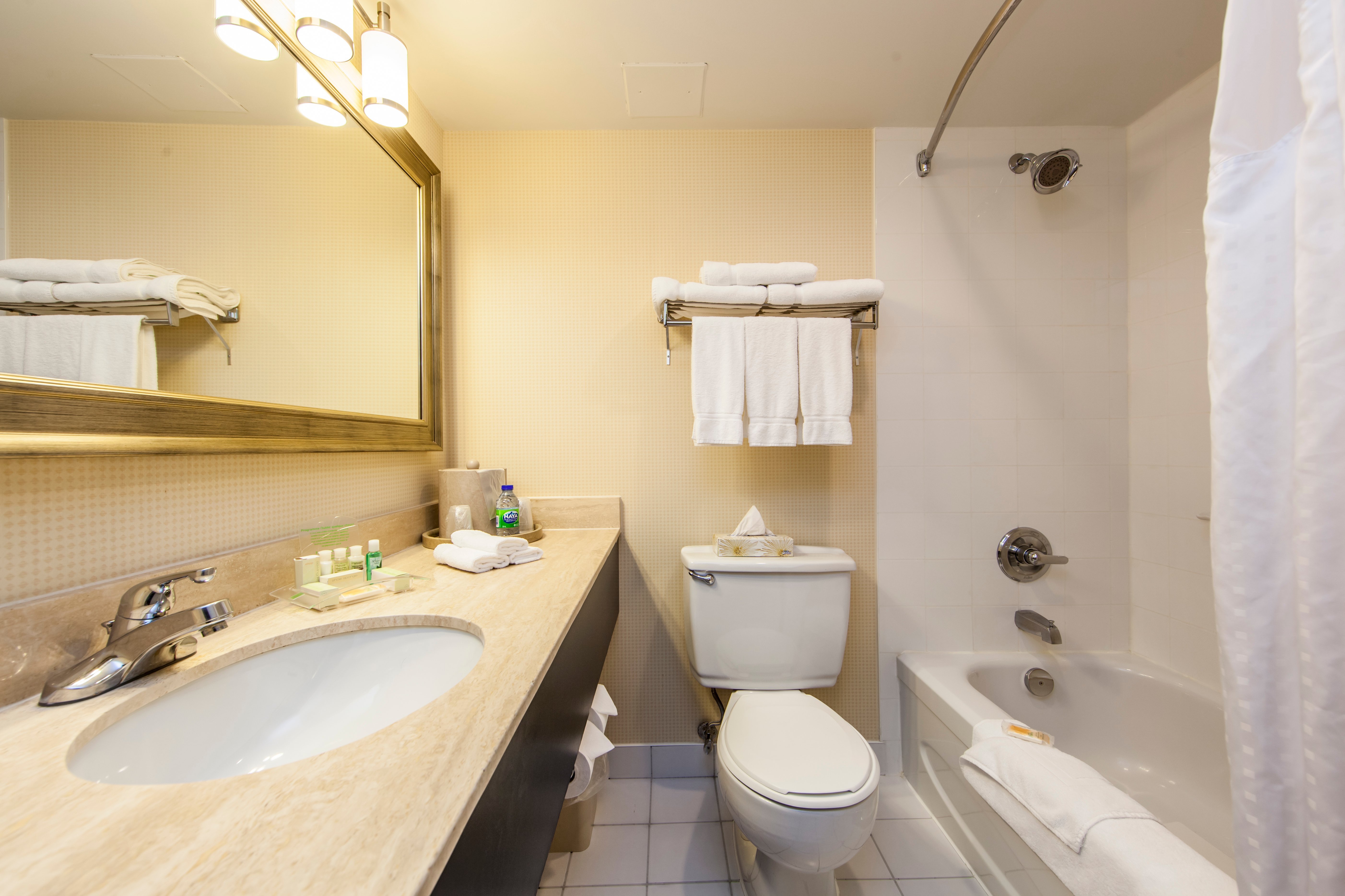 Holiday Inn Laval - Montreal, an IHG hotel-官方