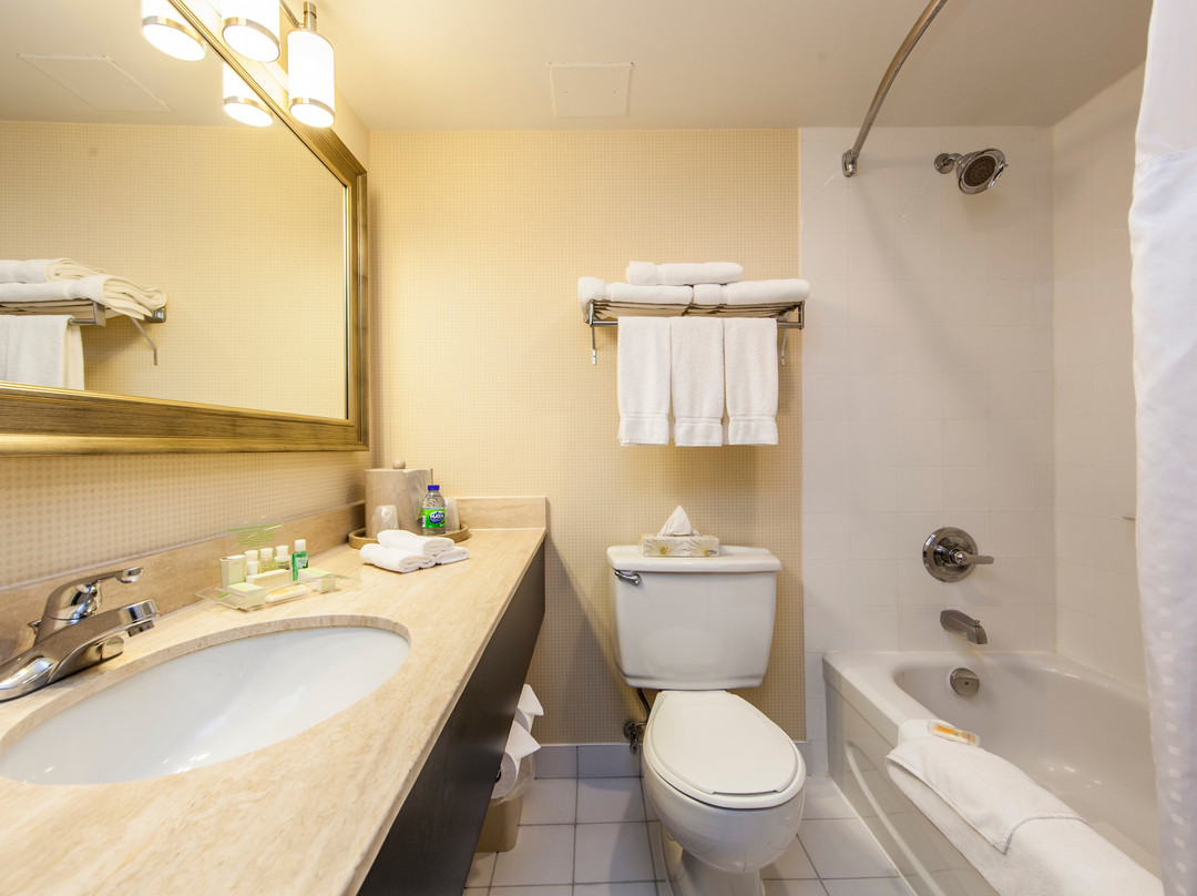 Holiday Inn Laval - Montreal by IHG主图