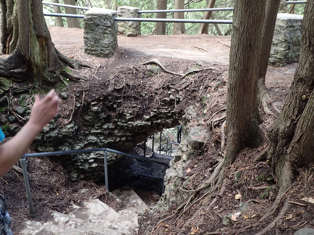 Elora Quarry Conservation Area-伊劳拉必去景点