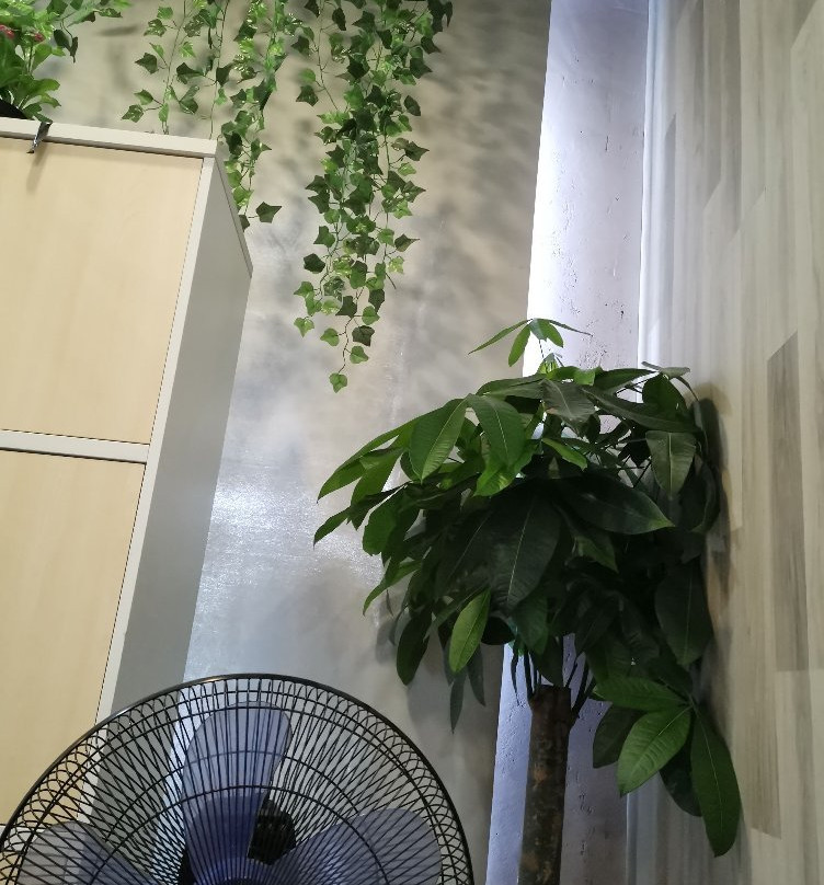 武汉九峰森林动物园-武汉市必去景点