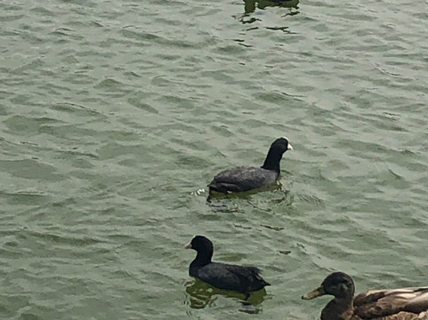 Parque de los Lagos-罗塔必去景点