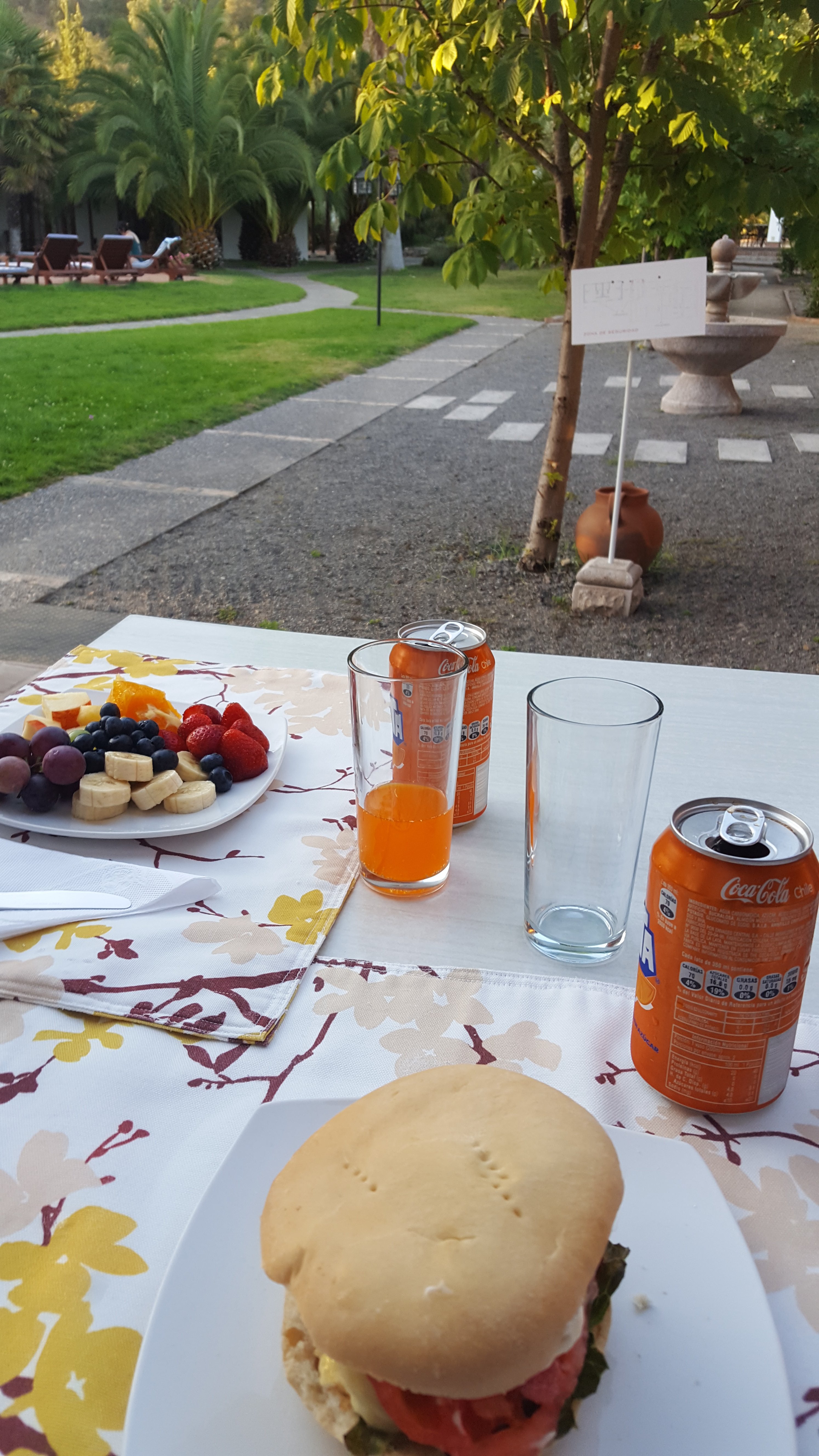 Hotel Boutique Solaz Bella Vista de Colchagua-餐饮