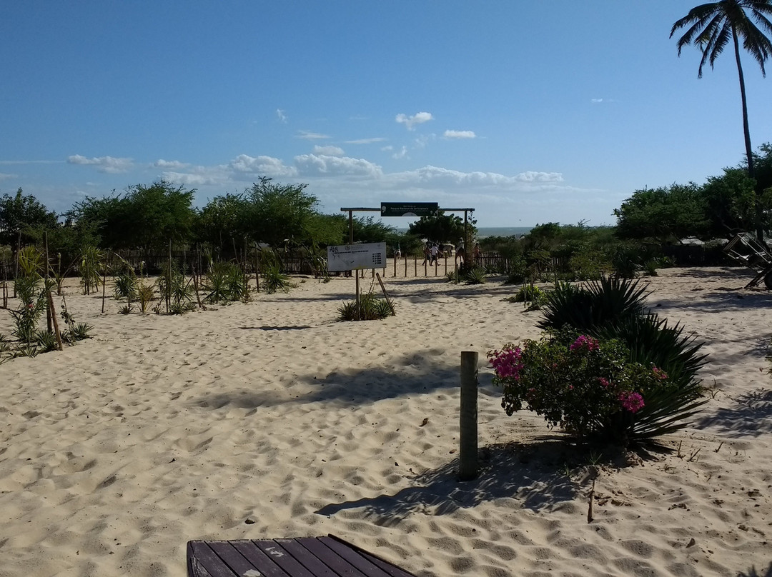 Parque Nacional de Jericoacoara景点图片