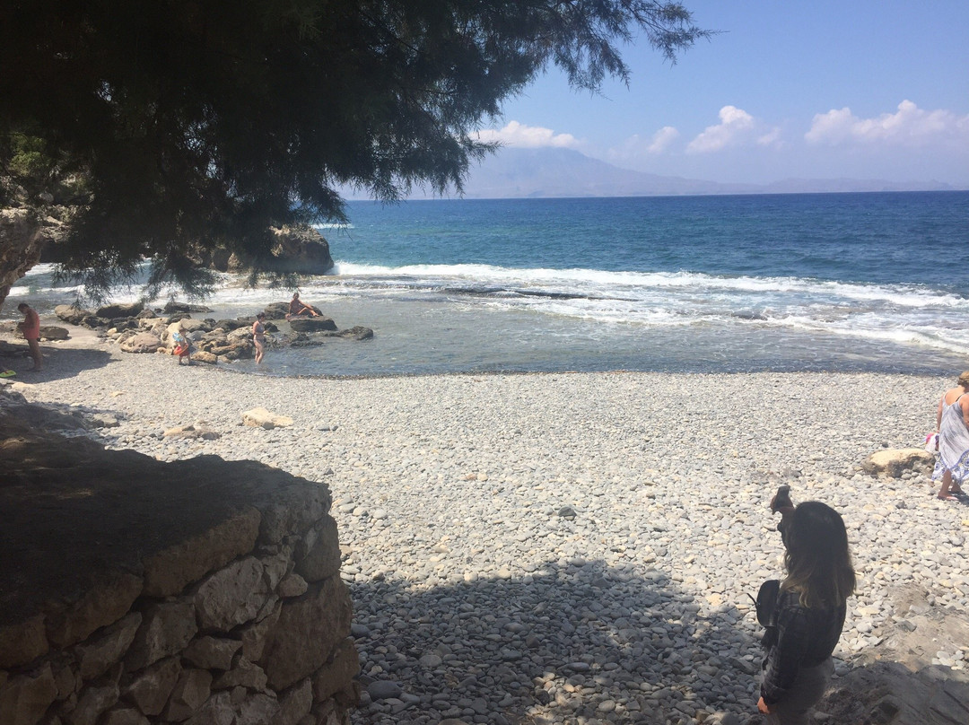 Waves on the Rock主图