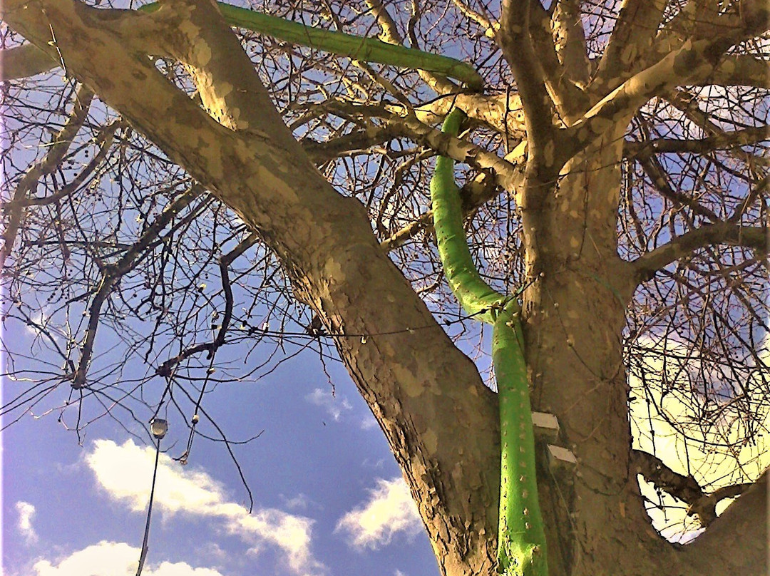 Mystery In The Trees-瓦南布尔必去景点