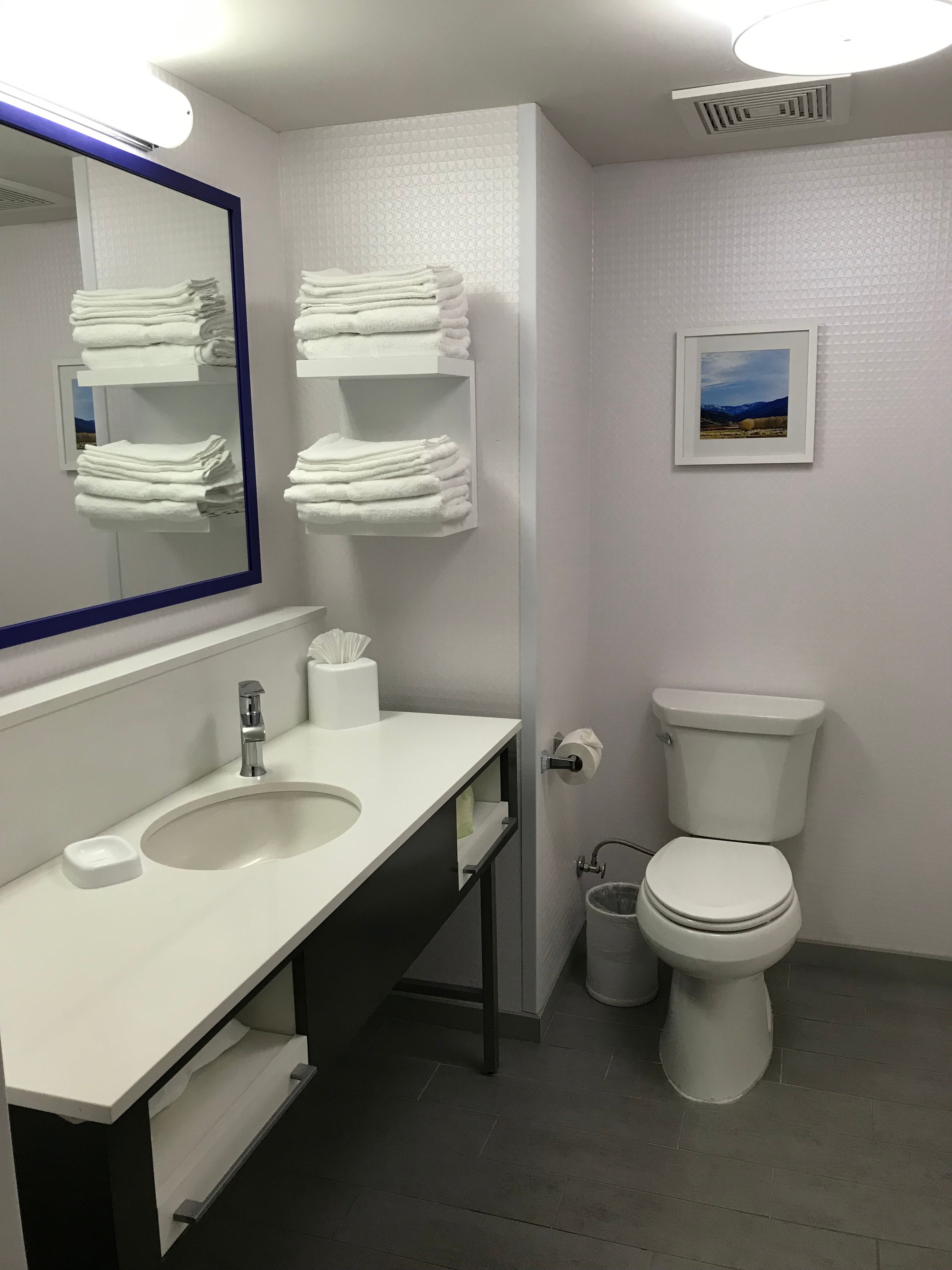 Hampton Inn Arvin Tejon Ranch-浴室