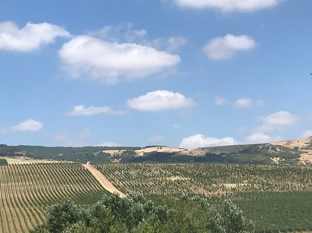 Nasimi's Wine Tours-巴库必去景点