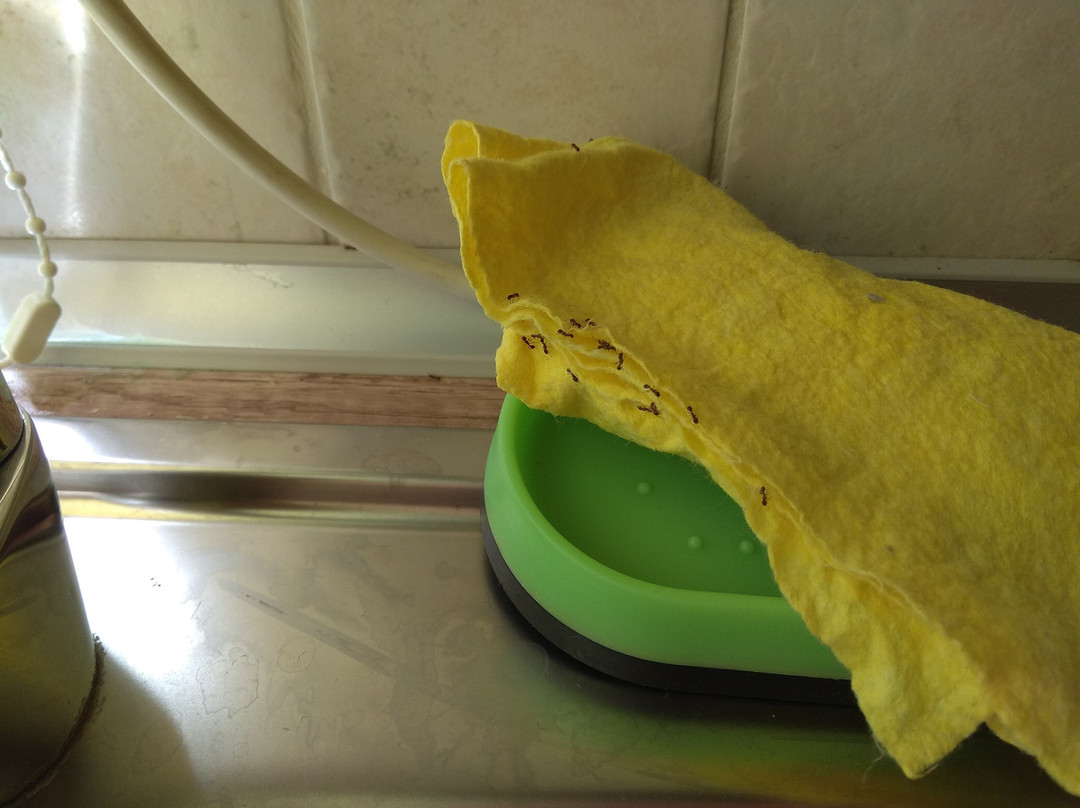 Santa Marina Guesthouse主图