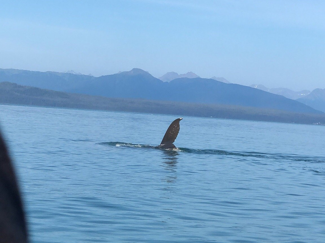 Icy Strait Whale Adventures-胡纳必去景点