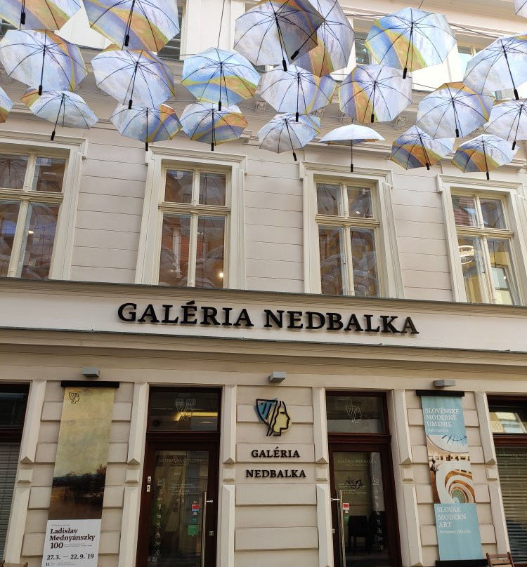 Nedbalka Gallery景点图片