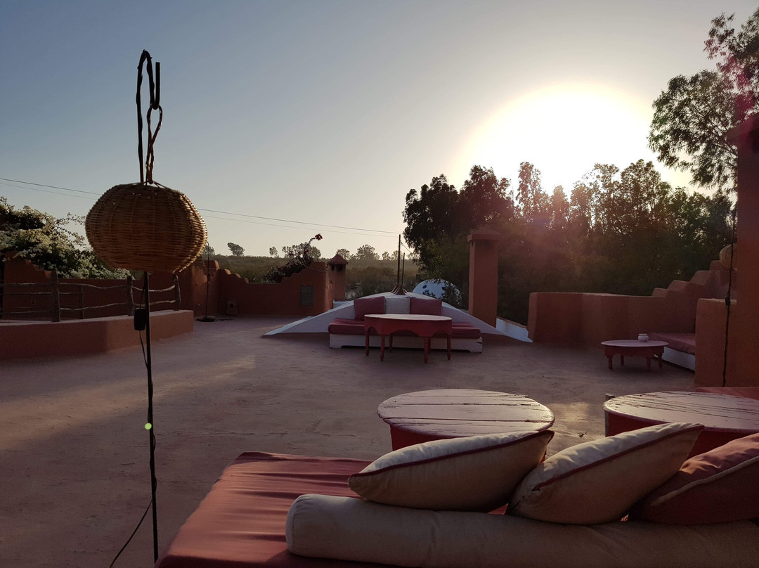 Riad Baoussala主图