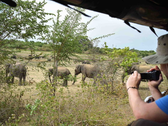 Tours Mirissa-美蕊沙必去景点