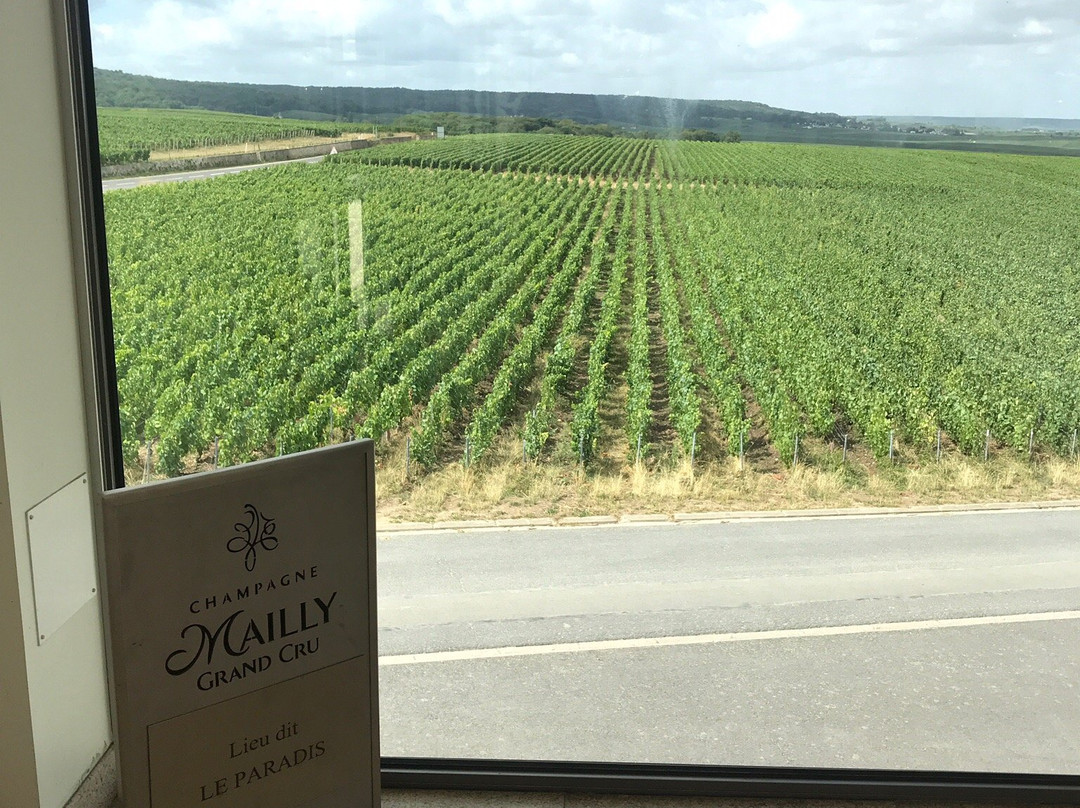 Champagne Mailly-Mailly-Champagne必去景点