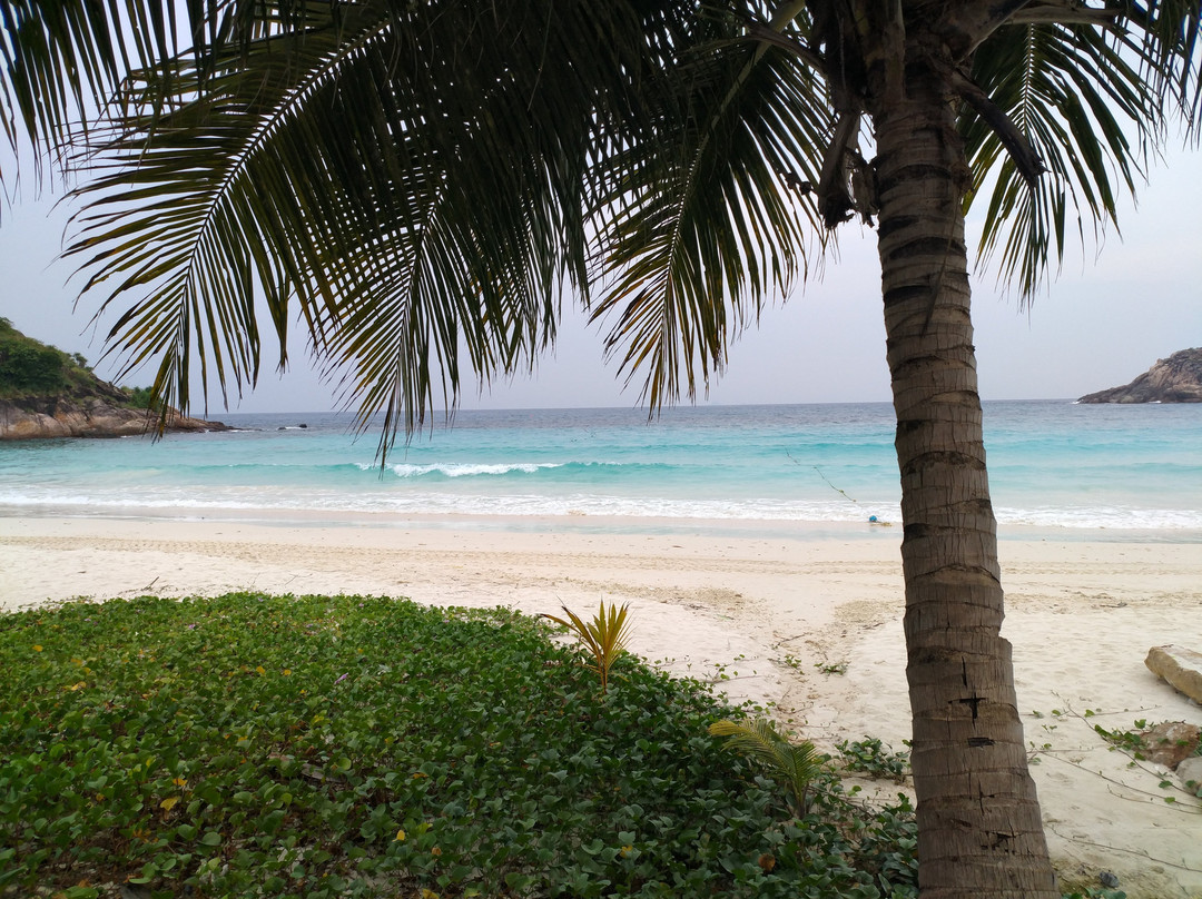 Redang 海滩渡假村主图