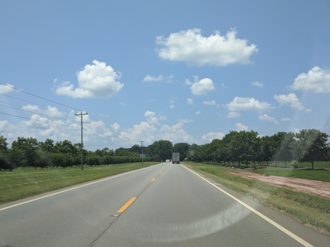 Lane Southern Orchards-Fort Valley必去景点