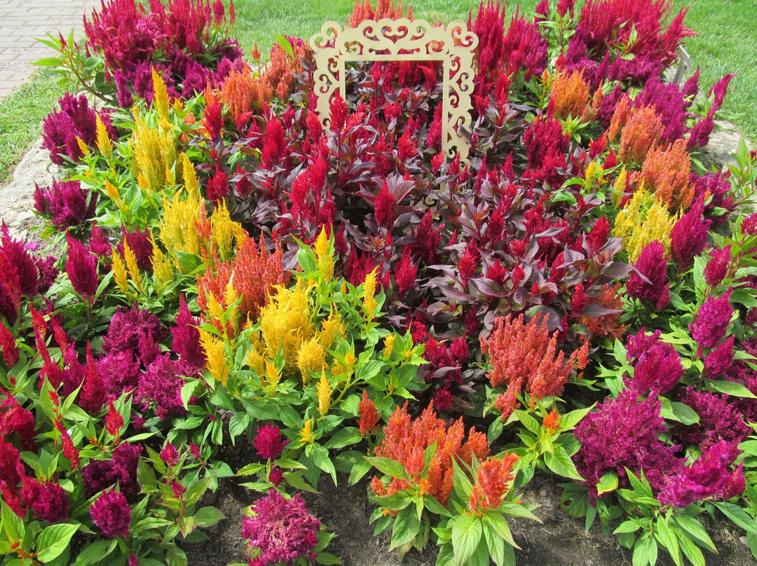 Dubuque Arboretum & Botanical Gardens-迪比克必去景点