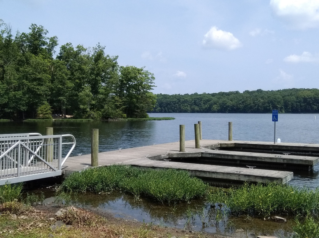 Burke Lake Park景点图片