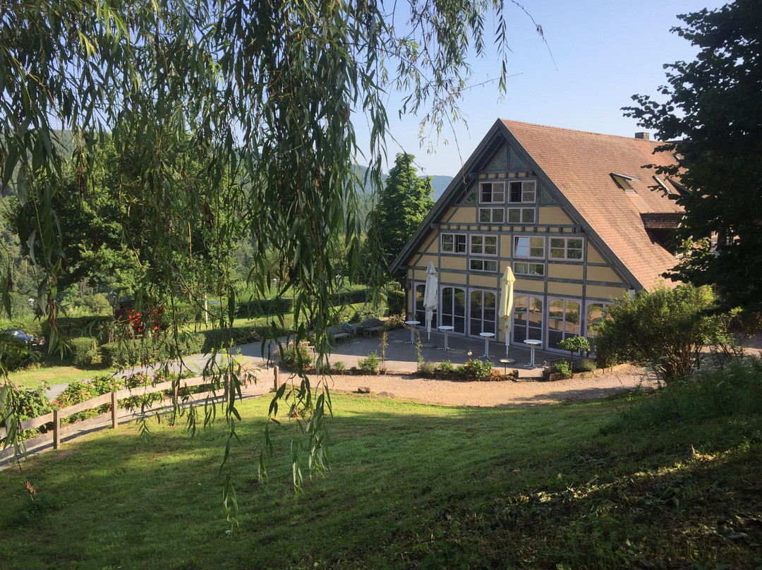 Landhotel Der Schafhof Amorbach主图