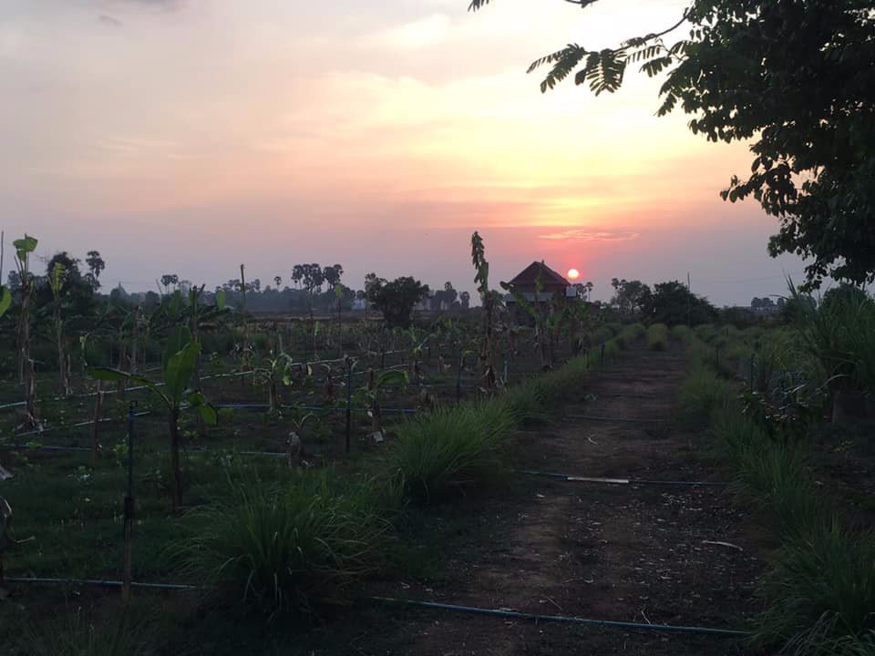 Khmer Crafts Center景点图片