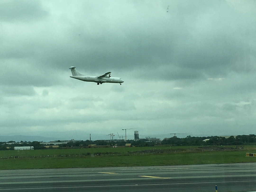 51st & Green Lounge-都柏林必去景点