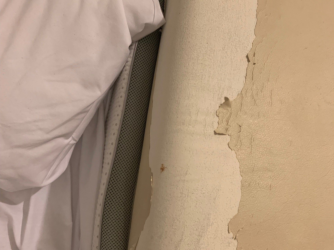 Hotel Aquaris Crivaia主图