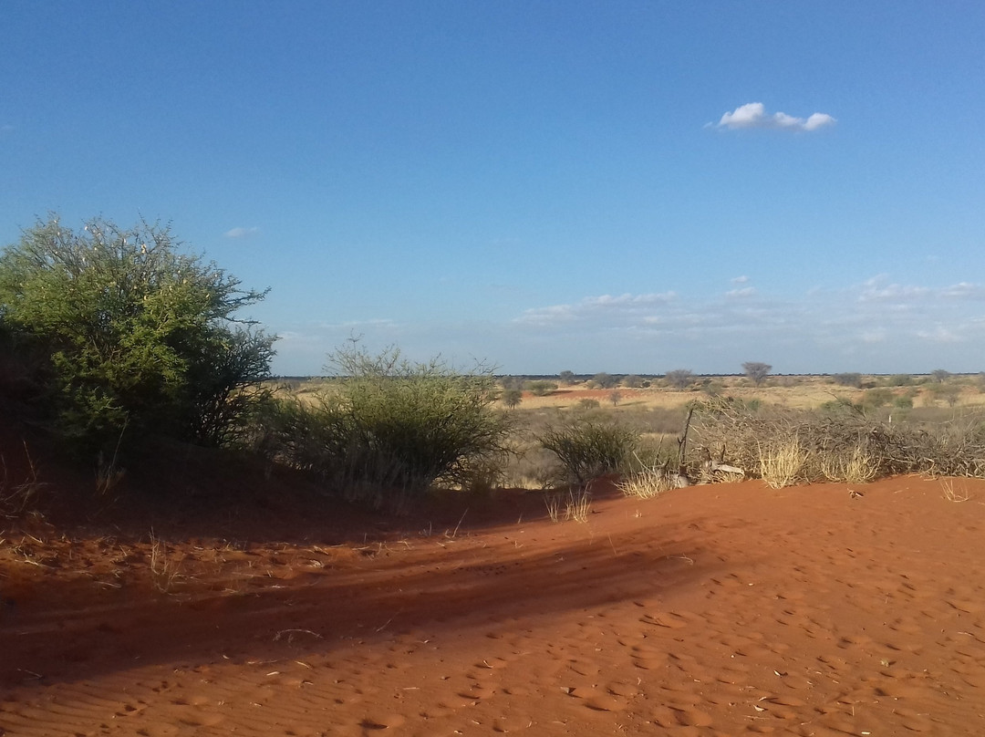 Rafiki Tours and Safaris-温德和克必去景点