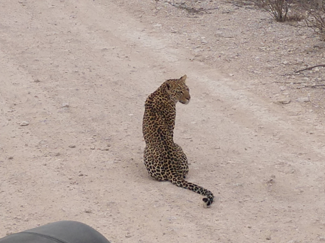 Karibu Safari-温德和克必去景点