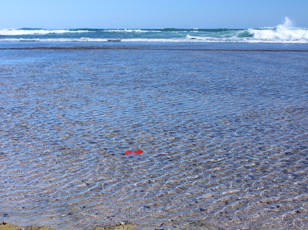 Flat Rocks Beach-Greenough必去景点