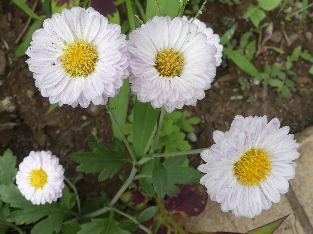 Lutheran Uhuru Hotel Moshi主图