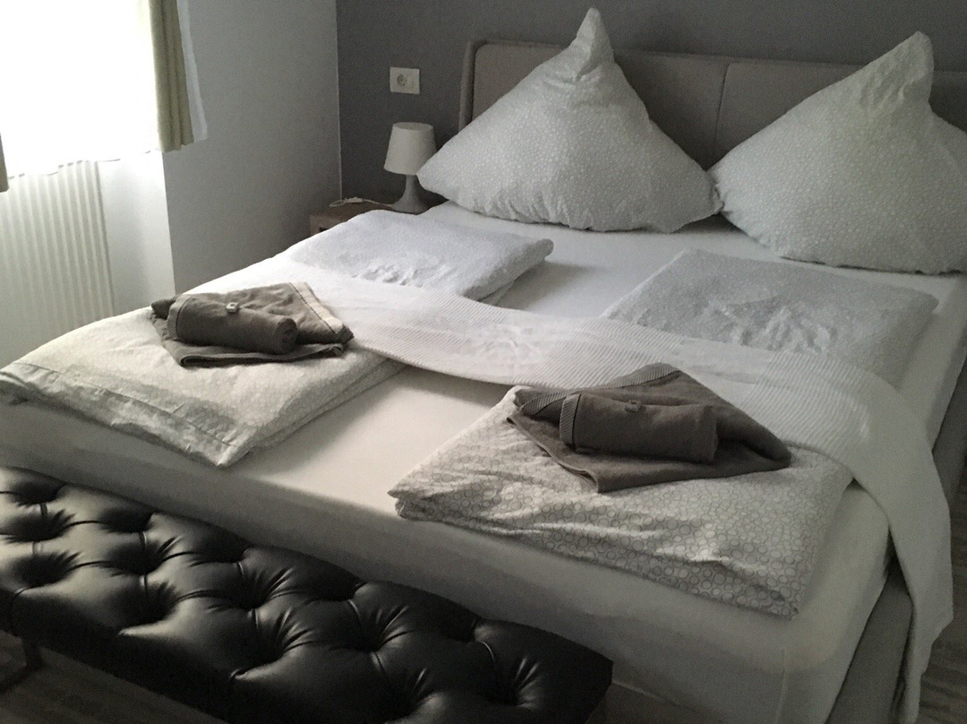 Hotel Garni Steinbacher Tal主图