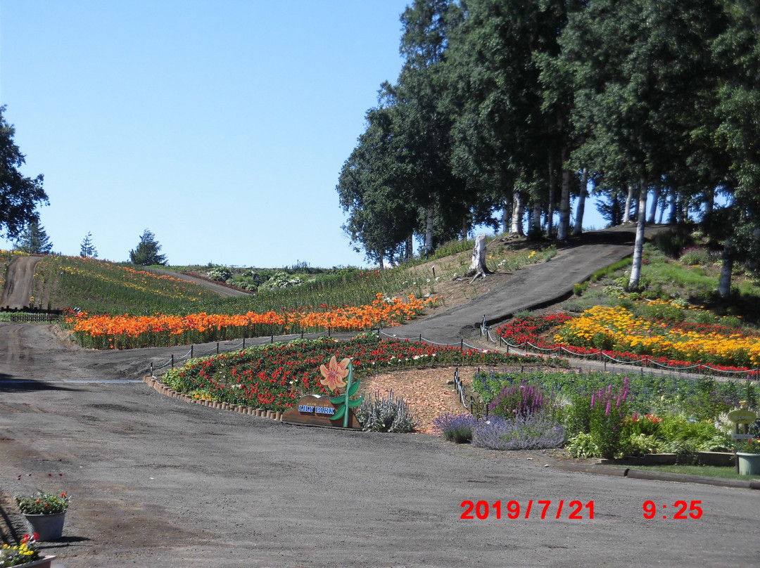 Yuri No Sato Koshimizu Lily Park-小清水町必去景点