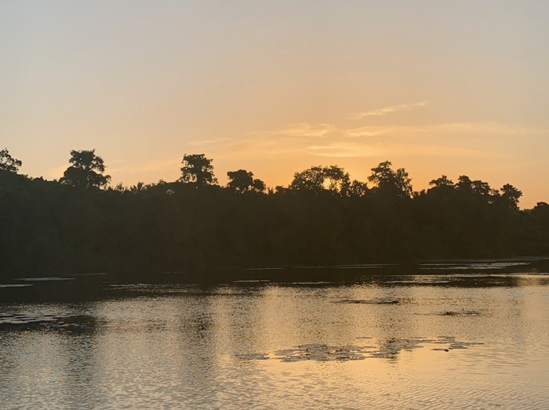 Mawella Lagoon Kayak Tour景点图片