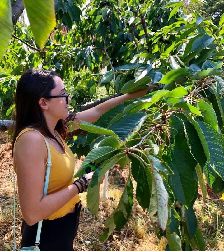 Hood River U-Pick Organic-胡德里弗必去景点