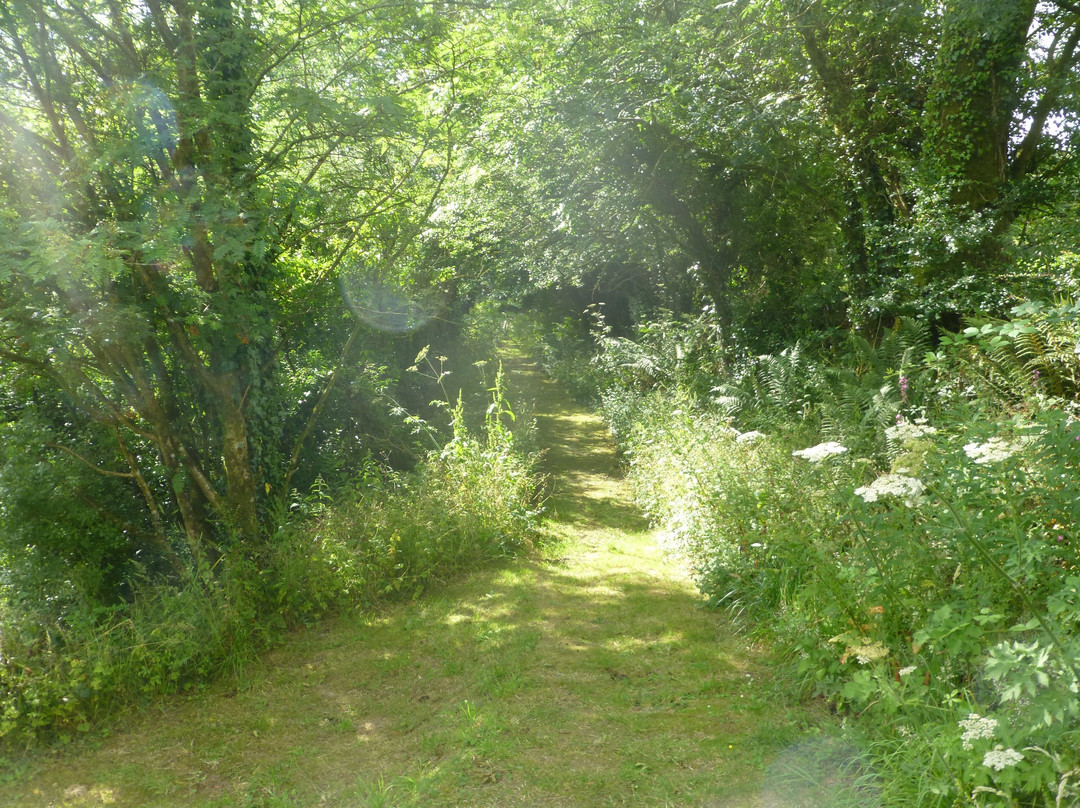 Ffynnon Fendigaid主图