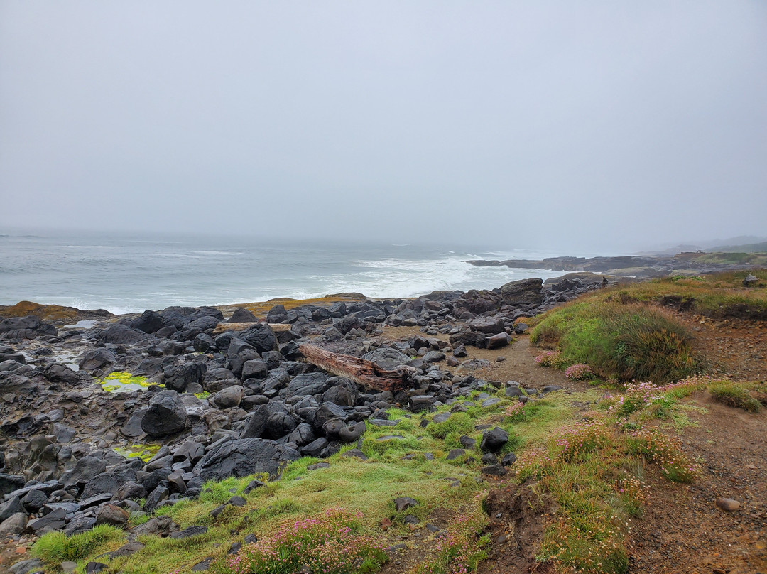 Fireside Motel主图