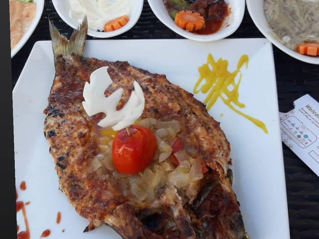 Palma Inn Resort Montazah Palace主图