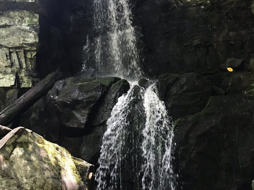 Baskins Creek Falls-大雾山国家公园必去景点