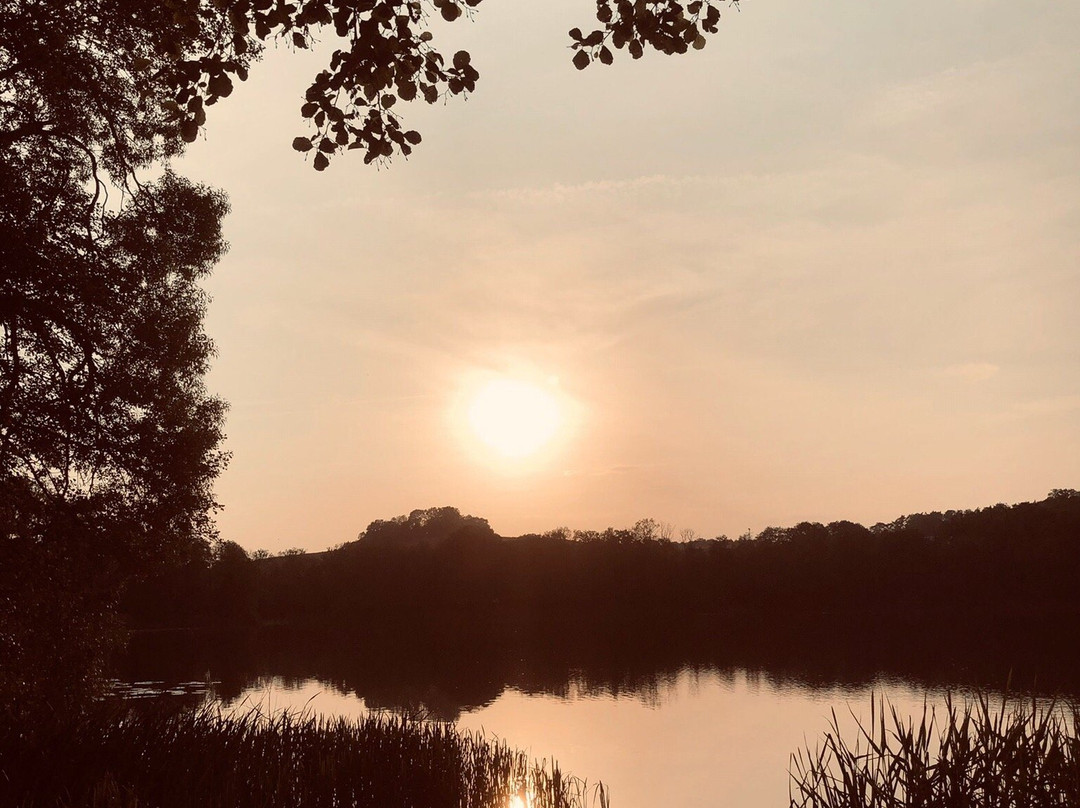 Seeschloss Schorssow主图