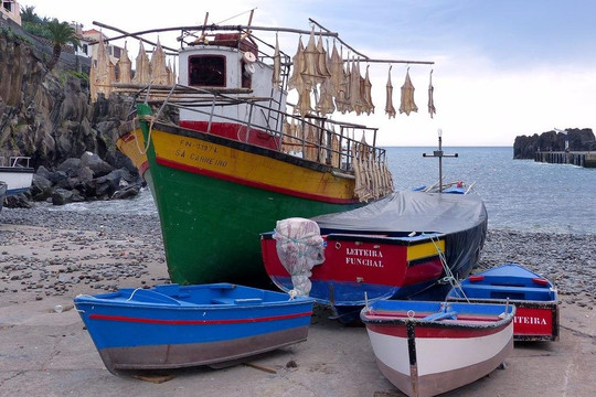 Madeira Tours by Diogo-沙尔必去景点