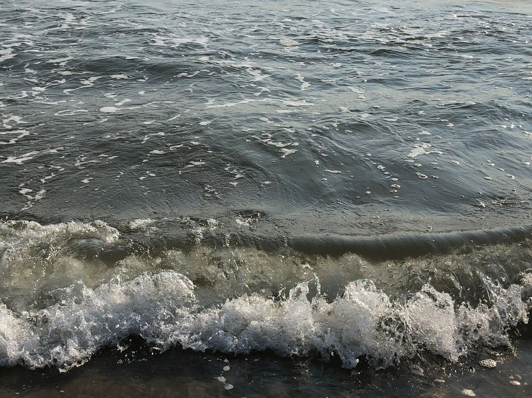 The Point-Oak Island必去景点