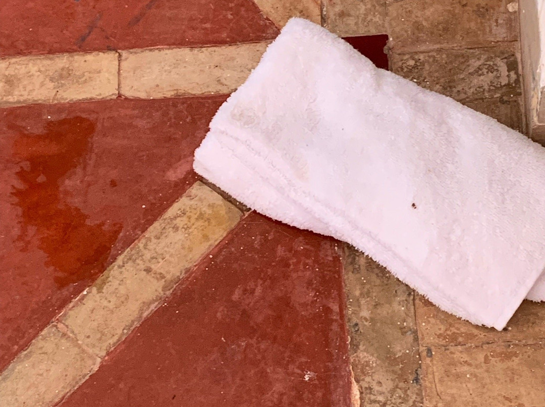 Riad Beloiseau主图