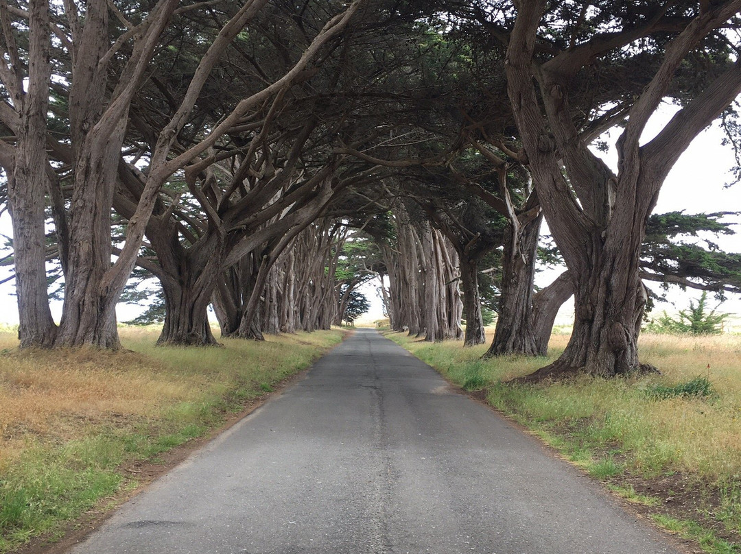 Marconi RCA Wireless Stations-Point Reyes National Seashore必去景点
