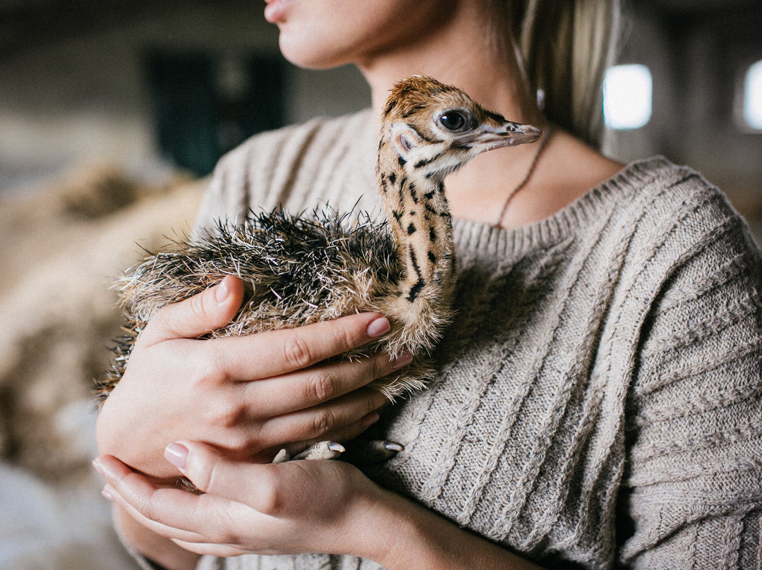 Eco Complex Kazeyevka-Kazeyevka必去景点