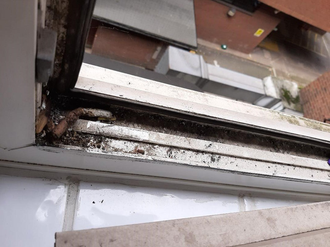 Lansdowne Hotel主图