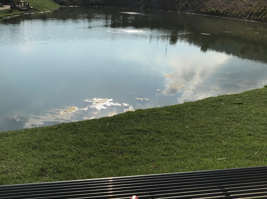 The Pinnacle-布里斯托尔必去景点