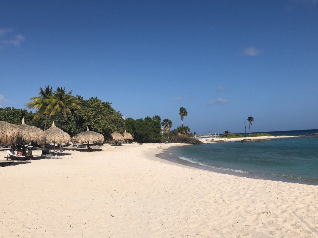 Moomba B&B Ocean Front Hostel主图