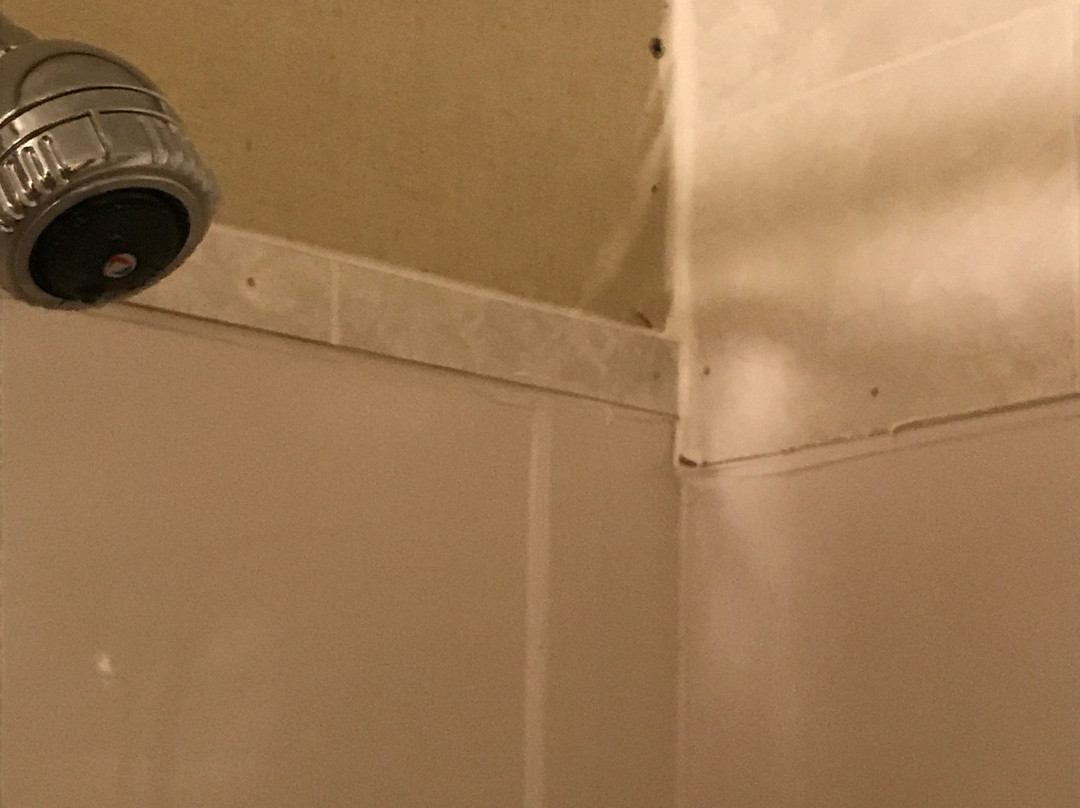 1202 Motor Inn主图