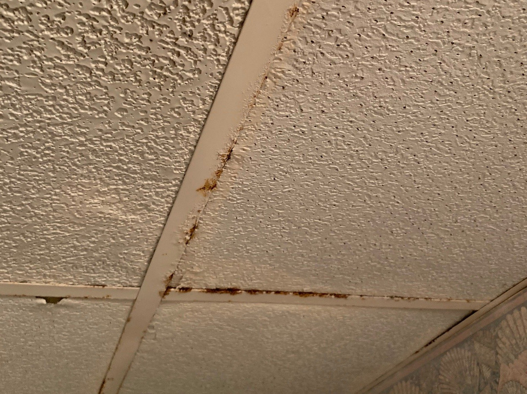 Royal Garden Resort主图