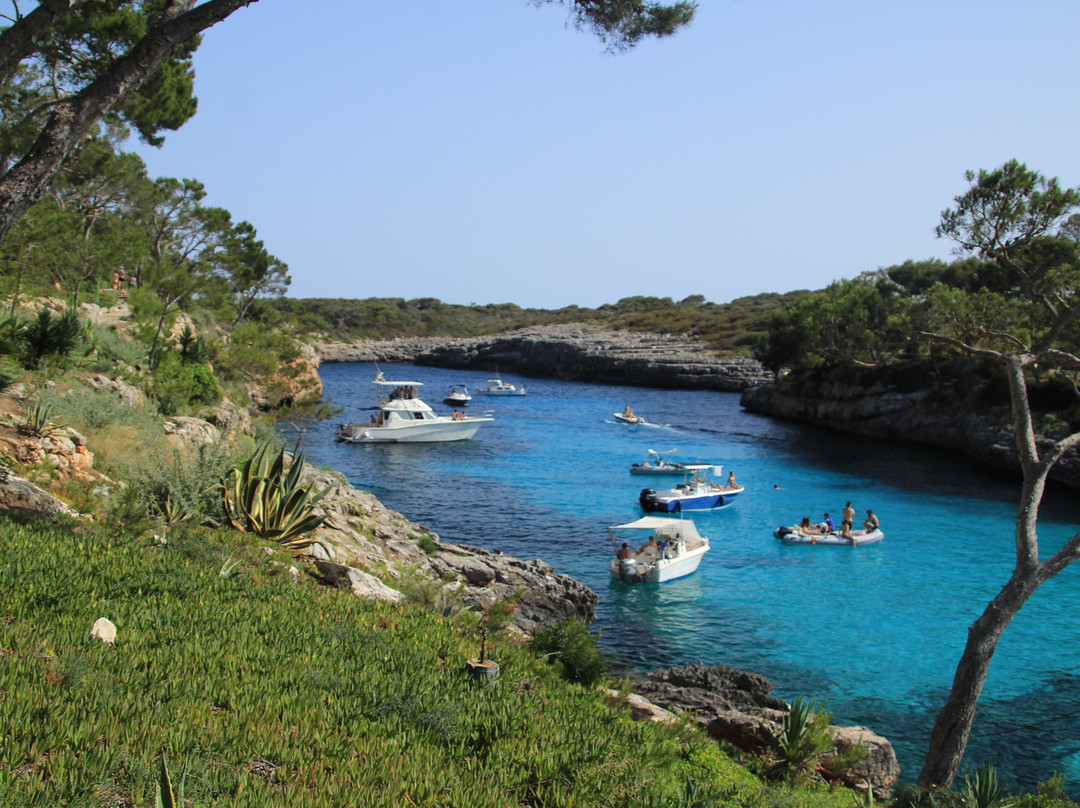 Cala Mitjana-Arta必去景点